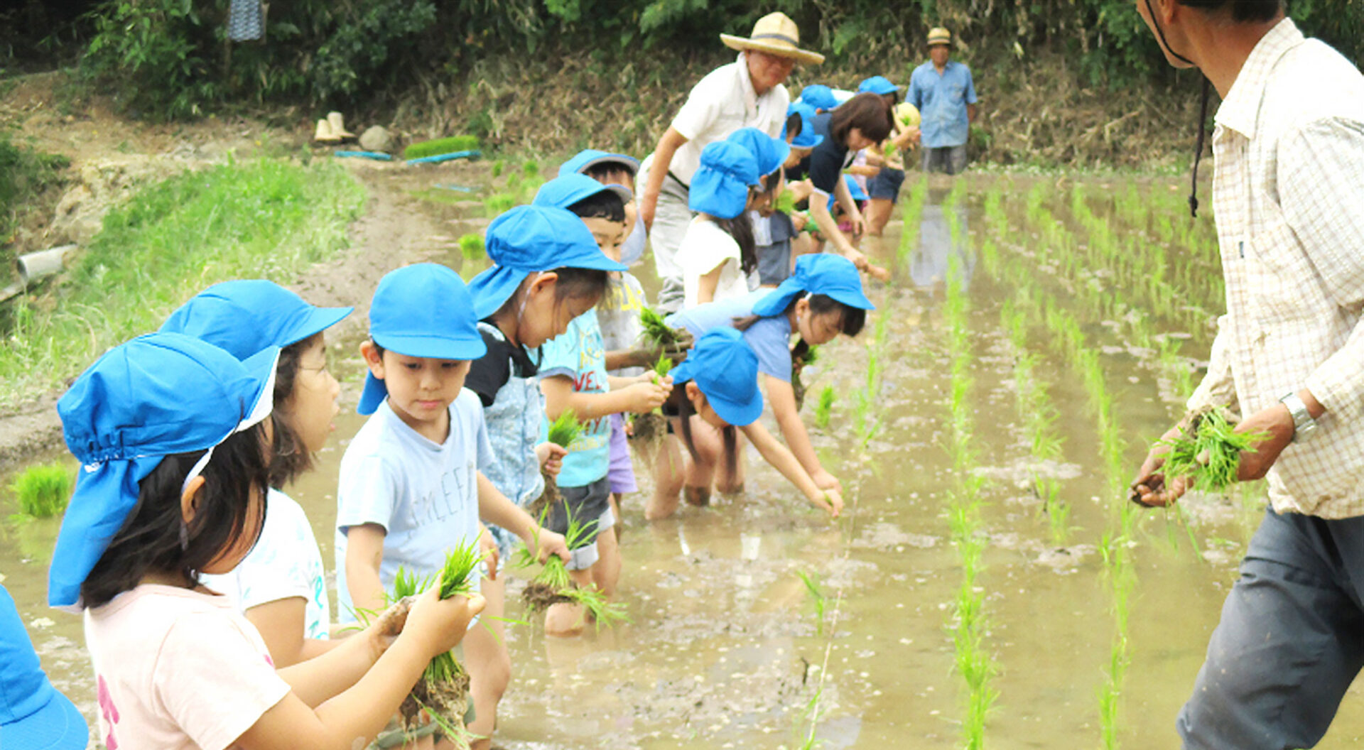 メインビジュアル